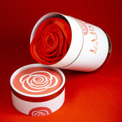 Edition limitée - La Rose de l'Amour - 12 lingettes démaquillantes 10cm - Double velours